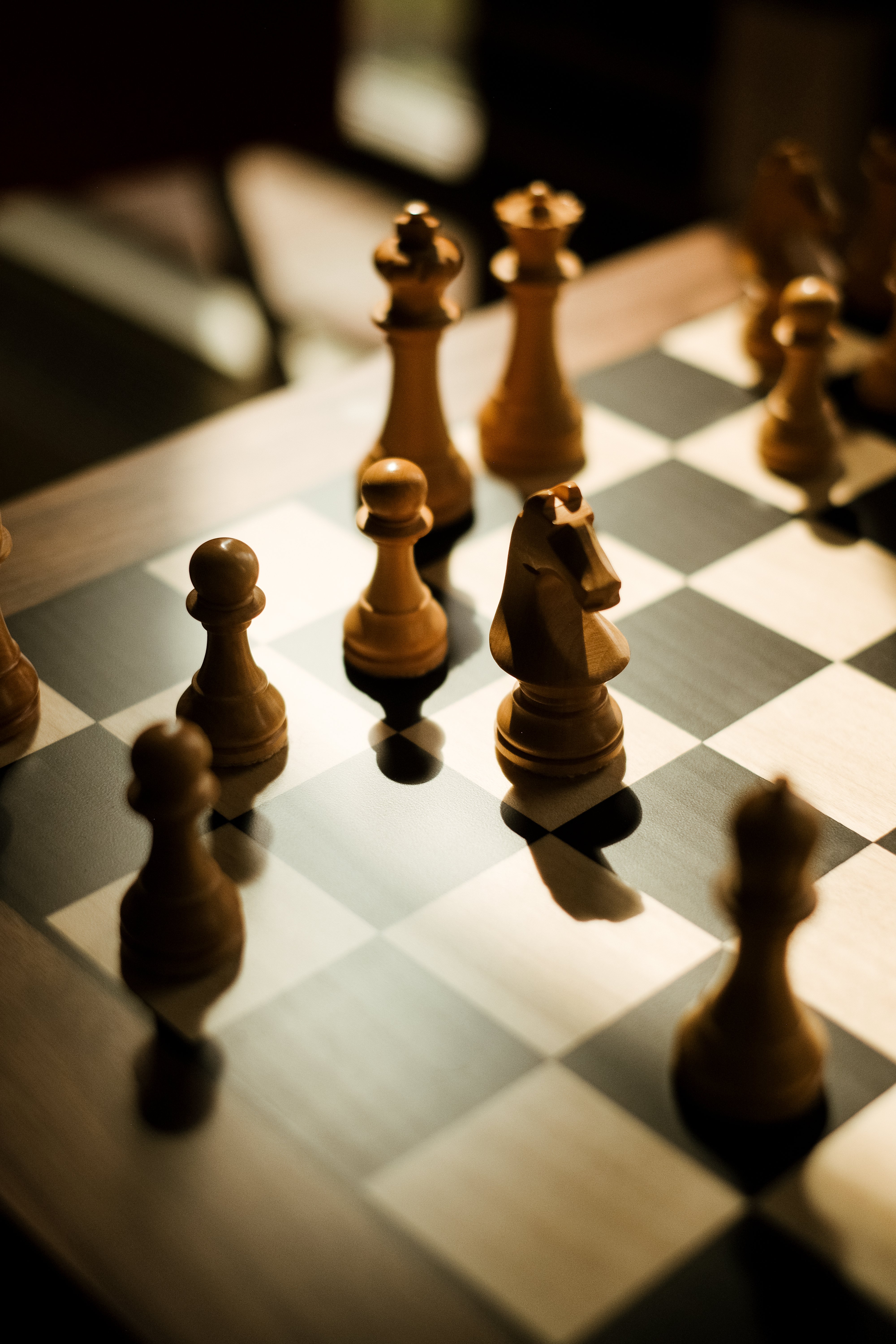 World Chess Set (Home Edition in Black and White) - Image 3